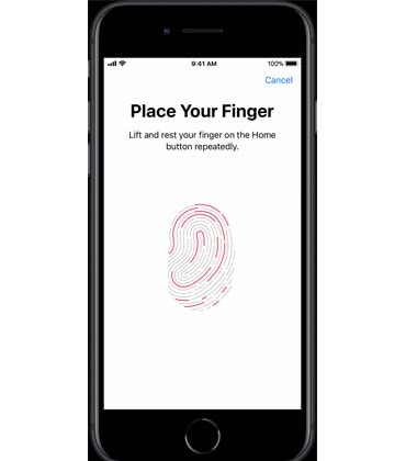 No Apple touch ID on iPhone